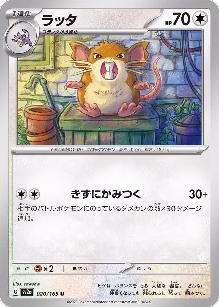 Raticate (020/165), Pokemon Card 151 — Pokémon JP card price