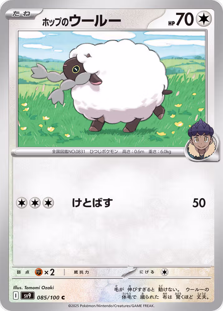Hop's Wooloo (085/100), Battle Partners — Pokémon JP card price
