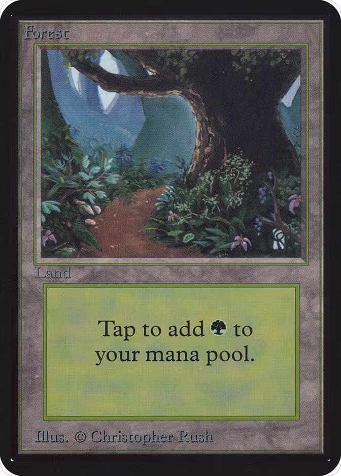 Forest (B), Alpha Edition — Magic card price