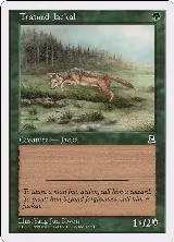 Trained Jackal (155) — card price