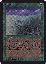 Lifelace — card price