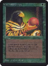 Natural Selection — card price