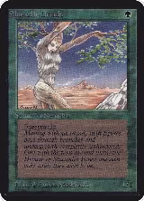 Shanodin Dryads, Alpha Edition — Magic card price