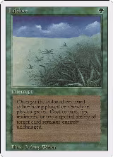 Lifelace — card price