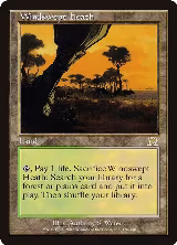 Windswept Heath (328), Onslaught — Magic card price