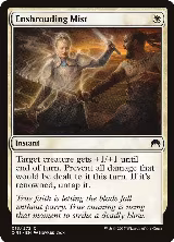 Enshrouding Mist (13) — card price