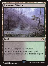 Llanowar Wastes (248) — card price