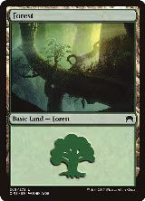 Forest (269) (269) — card price