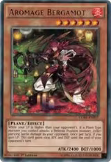 Aromage Bergamot (CORE-EN037) — card price