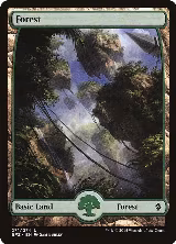 Forest (271) - Full Art (271) — card price
