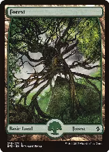 Forest (273) - Full Art (273) — card price