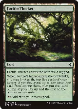 Fertile Thicket (237) — card price