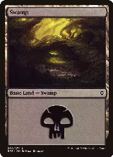 Swamp (260) (260) — card price