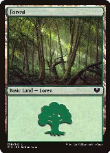 Forest (339) (339) — card price