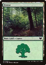 Forest (340) (340) — card price