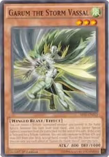 Garum the Storm Vassal (SR01-EN015) — card price