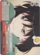 Platinum Mad (NM/S24-E070) — card price