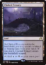 Choked Estuary (270) — card price