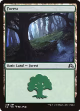 Forest (296) (296) — card price