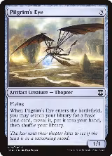 Pilgrim's Eye (229) — card price