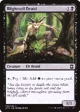 Blightsoil Druid (80) — card price