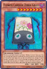 Flower Cardian Zebra Grass (DRL3-EN032) — card price