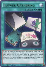 Flower Gathering (DRL3-EN040) — card price