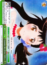 Someday My Prince Will……(Parallel Foil) (NK/WE22-E20) — card price
