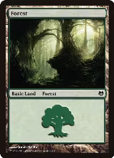 Forest (80) (80) — card price
