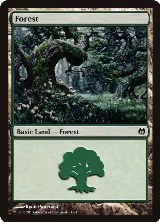 Forest (81) (81) — card price