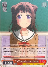 Self-introduction, Kasumi (BD/W47-TE03 TD) — card price