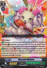 Finecoat Maltese (G-CHB02/021EN) — card price
