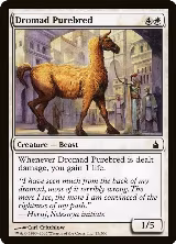 Dromad Purebred (15) — card price