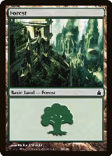 Forest (306) (306) — card price