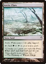 Arctic Flats (143) — card price