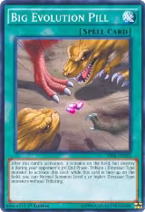 Big Evolution Pill (SR04-EN023) — card price