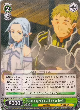 "Sleeping Knights" Siune & Tecchi (SAO/S47-E046 C) — card price