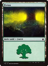 Forest (313) (313) — card price