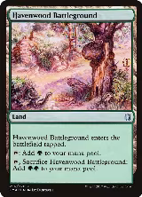 Havenwood Battleground (256) — card price