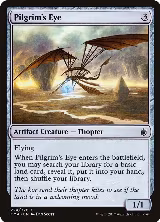 Pilgrim's Eye (224) — card price