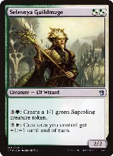 Selesnya Guildmage (206) — card price