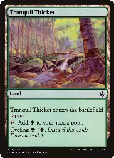 Tranquil Thicket (279) — card price