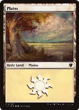 Plains (295) (295) — card price