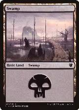 Swamp (303) (303) — card price