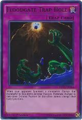 Floodgate Trap Hole (MP17-EN114) — card price