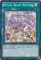 Ritual Beast Return (MP17-EN217) — card price