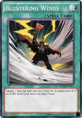 Blustering Winds (DEM2-EN017) — card price