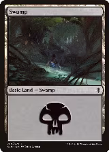 Swamp (269) (269) — card price