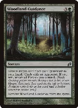 Woodland Guidance (243) — card price