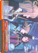 Experienced Multiplayer (RRR) (SAO/S51-E069 RRR) — card price